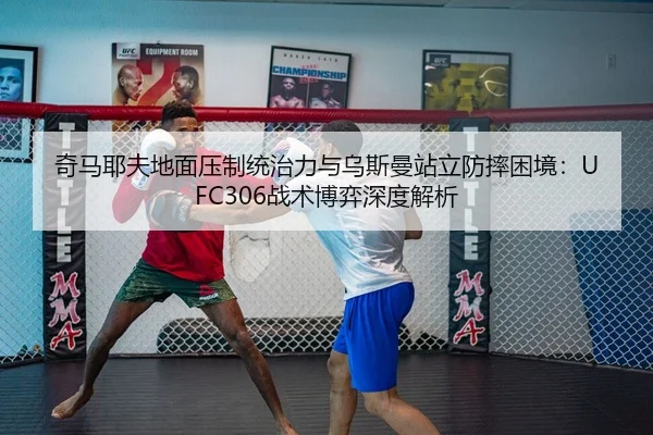 qi-ma-ye-fu-di-mian-ya-zhi-tong-zhi-li-yu-wu-si-man-zhan-li-fang-shuai-kun-jing-zhan-shu-bo-yi-shen-du-jie-xi-3-637.jpg